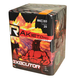 FAJERWER EXECUTOR 25S RKC203  6/1