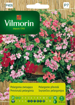 VG - PELARGONIA ZWISAJĄCA MIESZANKA
