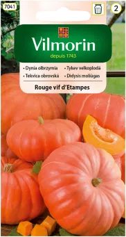 VG - DYNIA OLBRZYMIA ROUGE VIF D'ETAMPES 2G