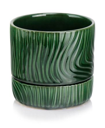 Donica Green - 07.150.13