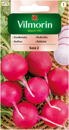 VG - RZODKIEWKA SAXA 2  10,0G