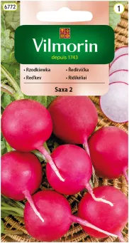 VG - RZODKIEWKA SAXA 2  10,0G