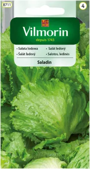 VG-SAŁATA LODOWA SALADIN