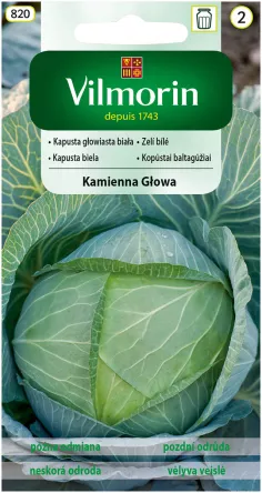 VG - KAPUSTA KAMIENNA GŁOWA 2,0G