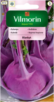 VG - KALAREPA FIOLETOWA BLANKYT 2G