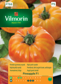 VG - POMIDOR PINEAPPLE