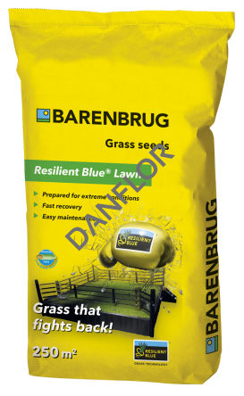 BARENBRUG RESILIENT BLUE LAWN 5KG