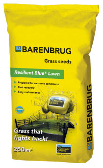 NASIONA TRAW 'RESILIENT BLUE LAWN' 5KG - BARENBRUG