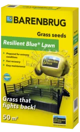 BARENBRUG RESILIENT BLUE LAWN 1KG