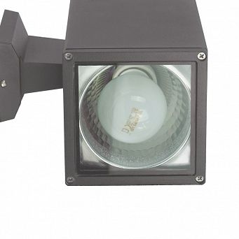 ADELA 8001 DG