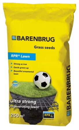 BARENBRUG RPR LAWN 5KG