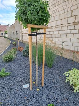 ZESTAW DO PALIKOWANIA DRZEWA WYS. 150CM ŚR. 5CM
