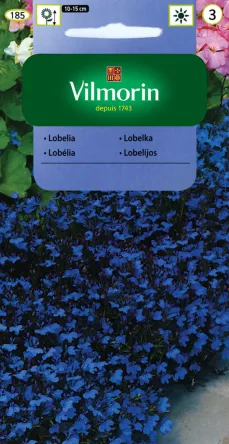 VG - LOBELIA STROICZKA BLUE CARPET