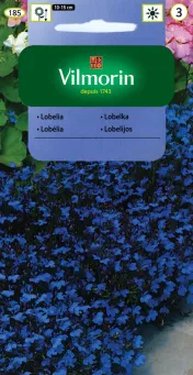 VG - LOBELIA STROICZKA BLUE CARPET