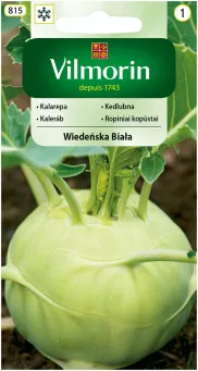 VG - KALAREPA WIEDEŃSKA BIAŁA/DI VIENNA 2,0G