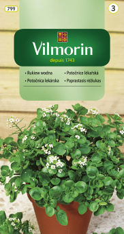 VG - RUKIEW WODNA