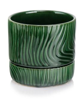 Donica Green - 07.150.16