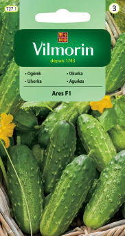 VG - OGÓREK GRUNTOWY ARES 3,0G 3GRUPA