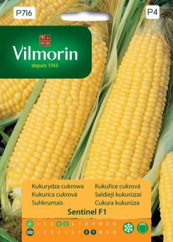 VG - Kukurydza cukrowa SENTINEL F1 2,5g P4