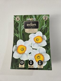 VG - NARCYZ FLOWER RECORD