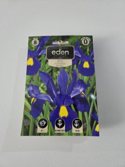 VG - IRYS HOLENDERSKI BLUE MAGIC