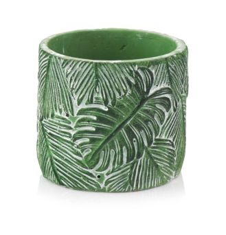 Cylinder Monstera - 05.209.14