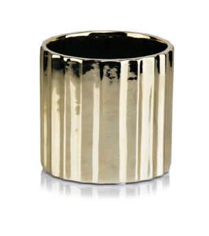 Cylinder Gold - 05.481.13