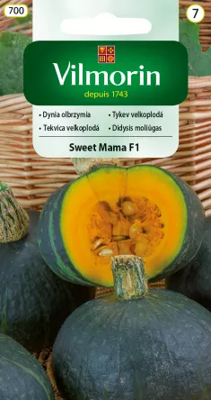 VG - DYNIA OLBRZYMIA SWEET MAMA